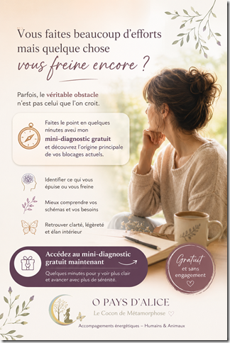 origines des blocages origines des blocages